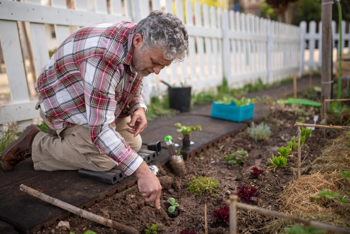 Older man in a plaid shirt kneeling to plant in a vibrant vegetable garden surrounded by tools and greenery