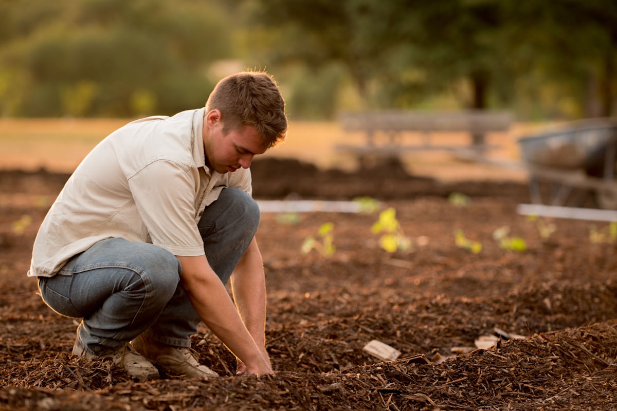 Man in a white shirt planting in a garden during daytime, showing practical casual summer gardening attire